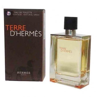 EU Hermes Terre D'hermes edt 100 ml фото