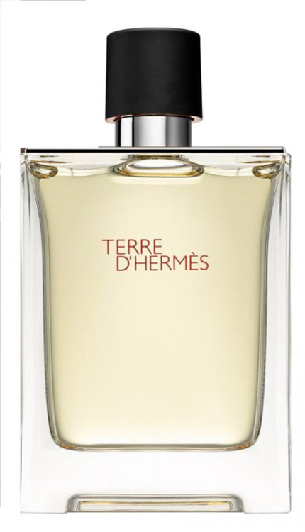 Hermes Terre D'Hermes edt for men 100 ml A-Plus фото