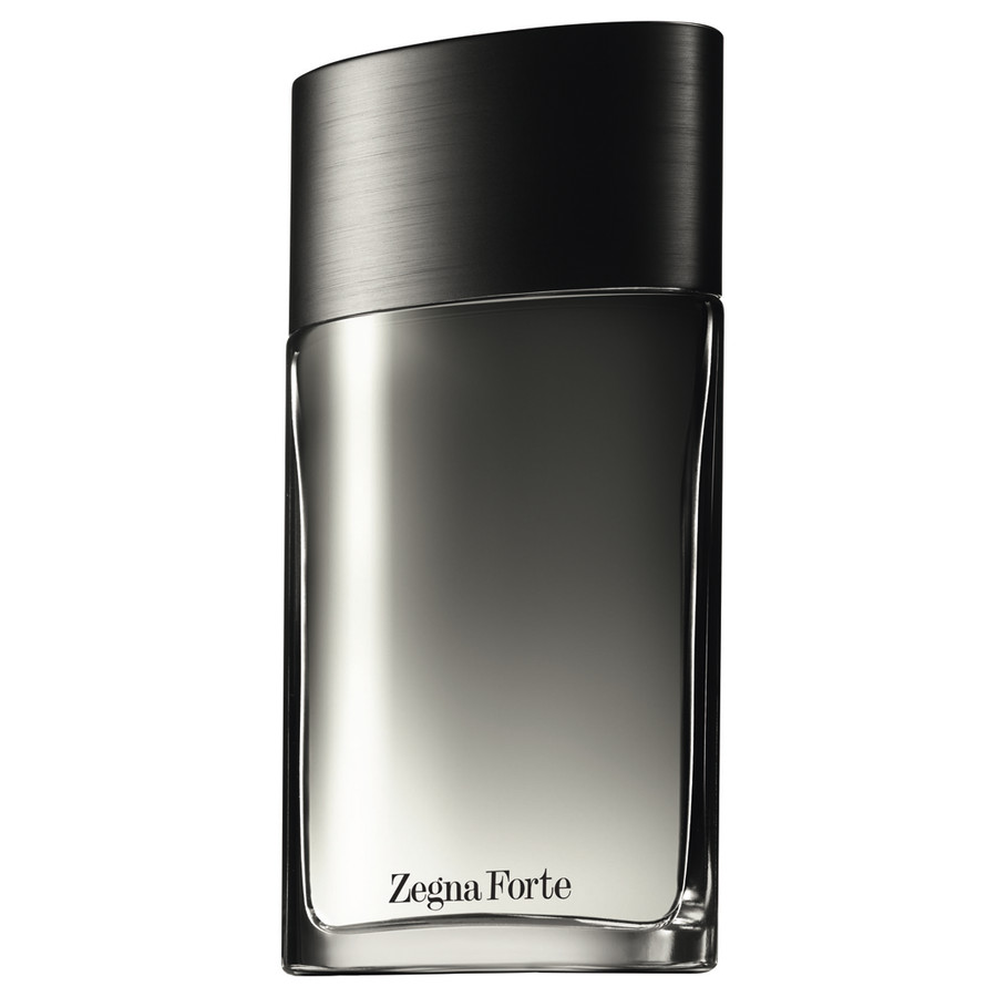 Ermenegildo Zegna Forte edt 100 ml фото