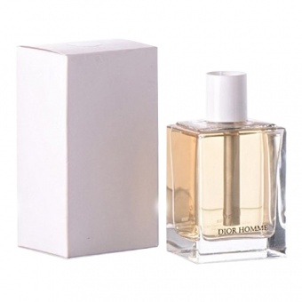 Tester Christian Dior Homme 100 ml фото