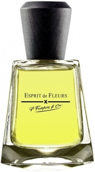 Tester P Frapin&Cie Esprit de Fleurs edp 100 ml фото