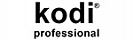 Kodi professional