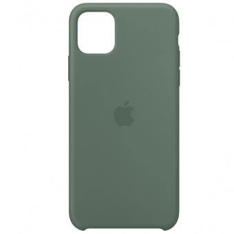 Силиконовый чехол для iPhone 12 / 12 Pro 6.1 зеленый фото